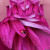 Постельное белье Mariposa Лепестки New, фото